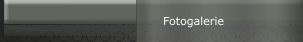 Fotogalerie
